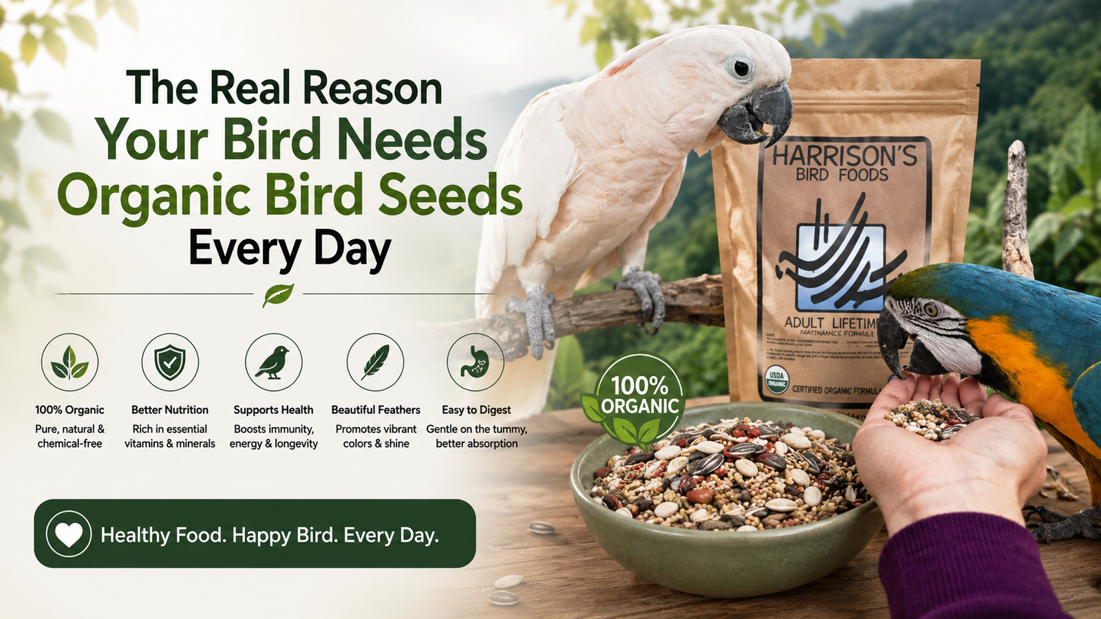 The Real Reason Your Bird Needs Organic Bird Seeds Every Day